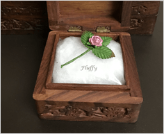 Pet Memorial Boxes - Allied Veterinary Cremation in Manheim, PA